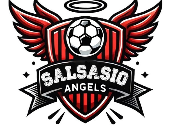 INIZIANO LE ATTIVITA’ PER I SALSASIO&nbsp;ANGELS